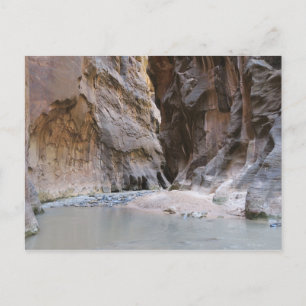The Narrows Zion National Park Postcard