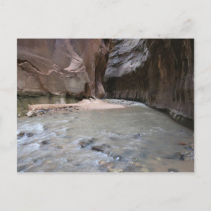 The Narrows Zion National Park Postcard