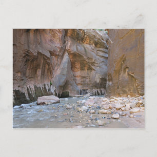 The Narrows Zion National Park Postcard