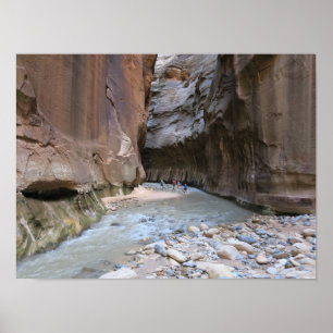 The Narrows Zion National Park Poster