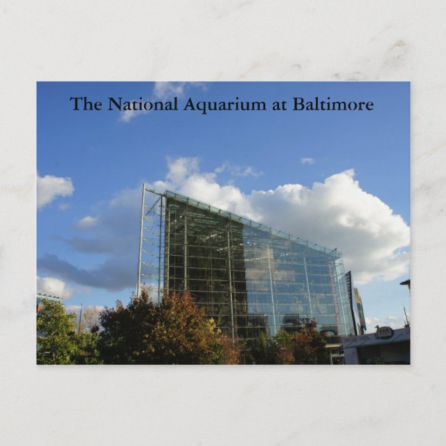 The National Aquarium of Baltimore Postcard (Front)