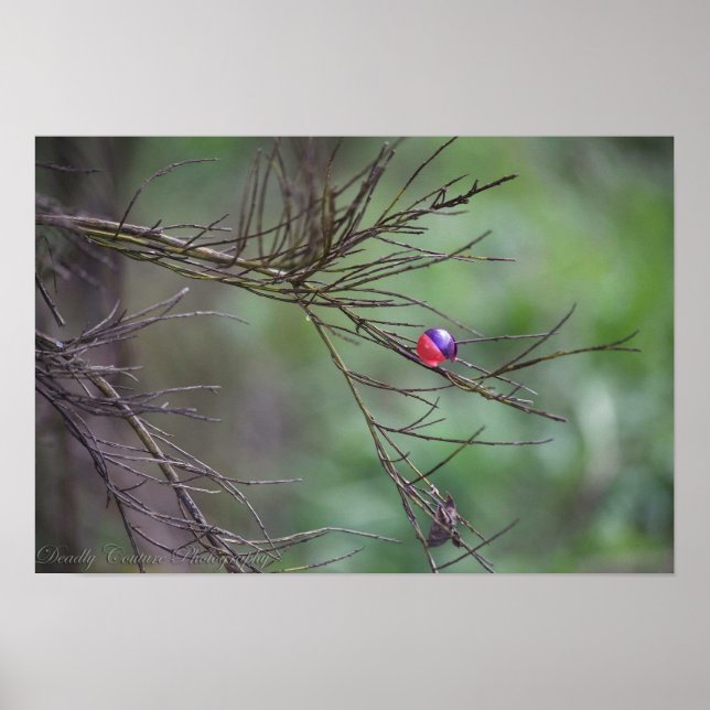 The Nature Of Paintball Poster (Front)