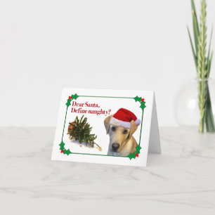 The Naughty Lab Holiday Card