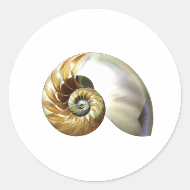 The Nautilus Shell Classic Round Sticker (Front)