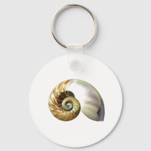 The Nautilus Shell Key Ring