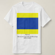 The Navy Flags Shirt (Delta), Man