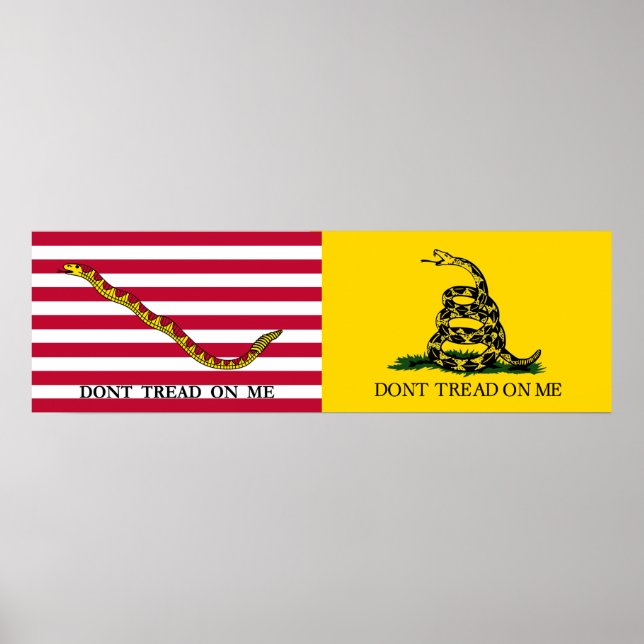 The Navy Jack & Gadsden Flags - Circa 1775-76 Poster (Front)