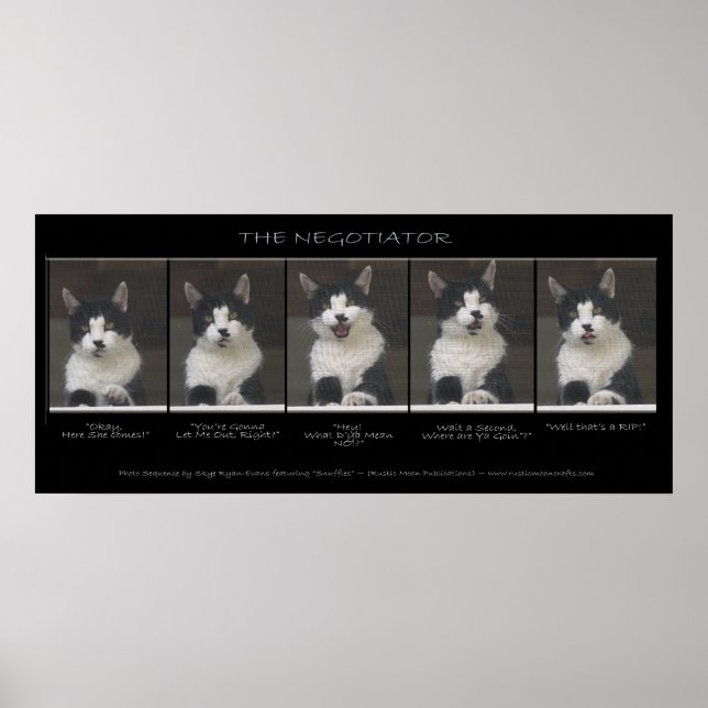 "THE NEGOTIATOR" Funny Cat Photo Sequence Poster (Front)