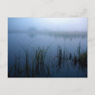 THE NEIGHBOR POSTCARD