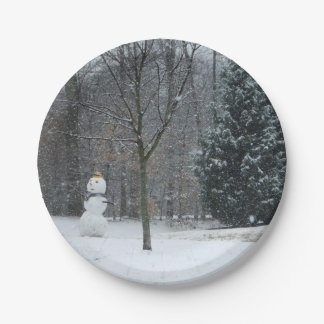 The Neighbour's Snowman Winter Snow Scene Paper Plate