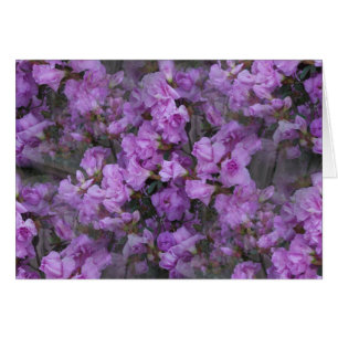 The Never-Ending Azaleas