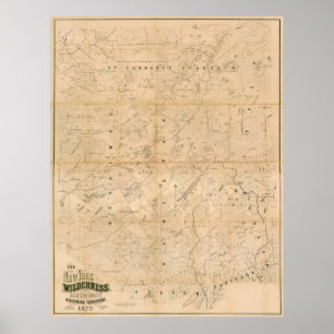 The New York Wilderness. 1879 Map. Poster