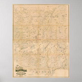 The New York Wilderness. 1879 Map. Poster