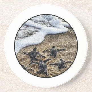 The newborn instinct coaster