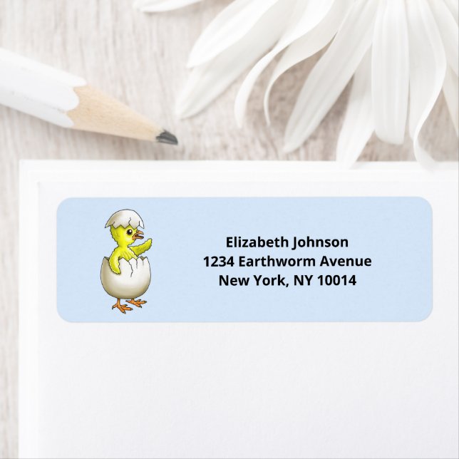 The Newly Hatched Easter Chick (Insitu)