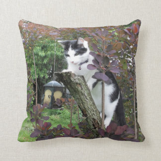 The Nibbler Cushion