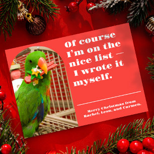 The Nice List Funny Parrot Christmas Photo Card