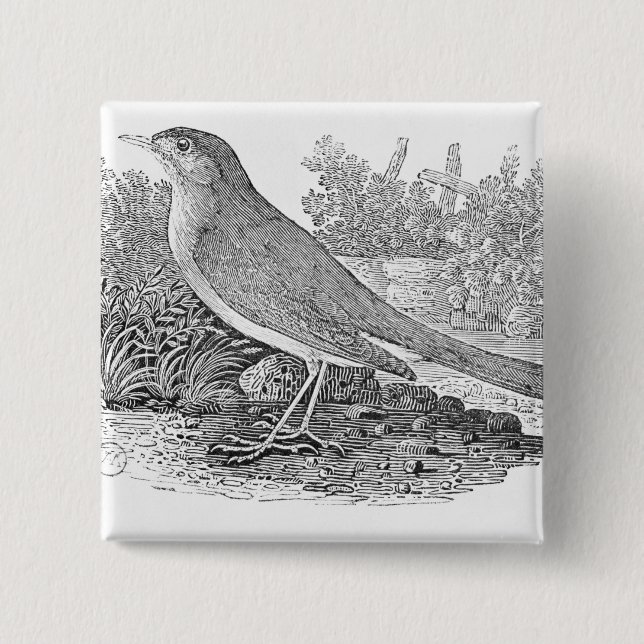 The Nightingale 15 Cm Square Badge (Front)