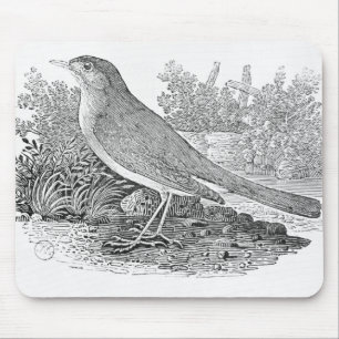The Nightingale Mouse Pad