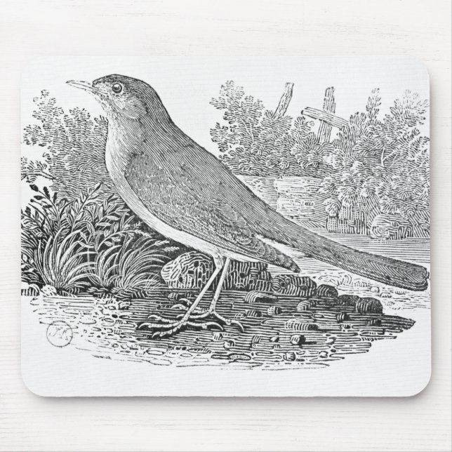 The Nightingale Mouse Pad (Front)