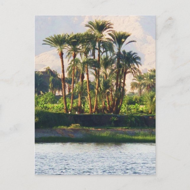 The Nile River in Egypt,  Luxor Postcard (Front)