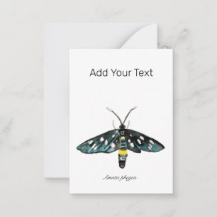 The Nine-Spotted Moth Amata phegea Illustration Card