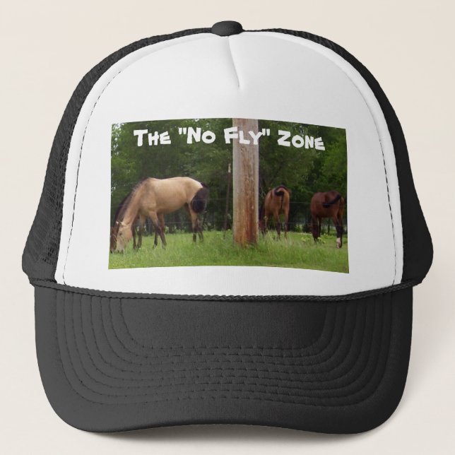 The "No Fly" Zone Hat (Front)