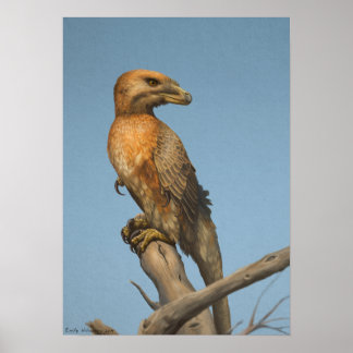 The Noble Savage print