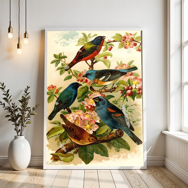 The North American Bird World, Gustav Mützel Poster (Creator Uploaded)