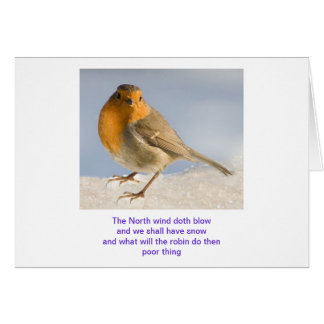 The North wind doth blow