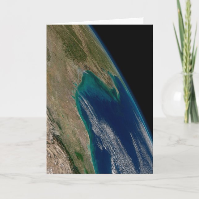 The Northern Gulf Of Mexico. Card (Front)