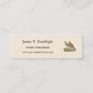 The Northern Harrier (Ring-tailed Hawk) NY Bird Mini Business Card