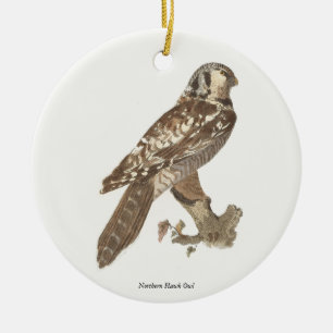The Northern Hawk Owl (Surnia ulula) Bird Image Ceramic Tree Decoration