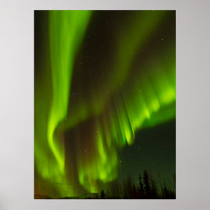 The Northern Lights   Fairbanks, Alaska Poster