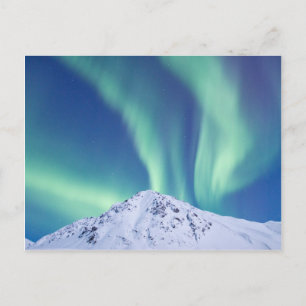 The Northern Lights Postcard