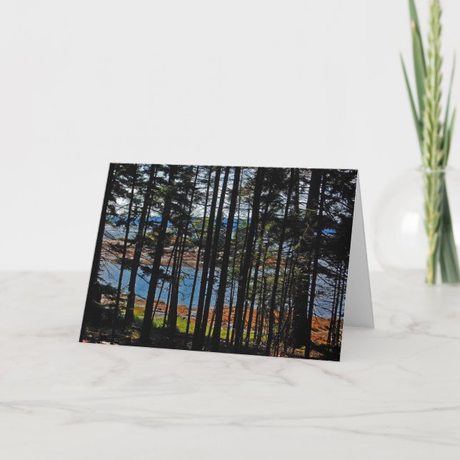 "The Nub Through Pines" Greeting Card (Front)