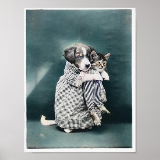 The Nurse Puppy Caring For Kitten 1914 Colourized Poster