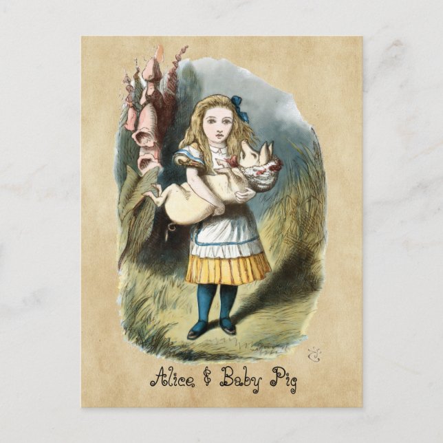 The Nursery Alice, Baby Pig  in Wonderland Postcard (Front)