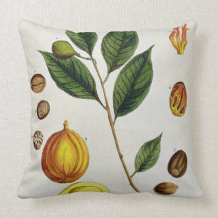 The Nutmeg, plate 353 from 'A Curious Herbal', pub Cushion