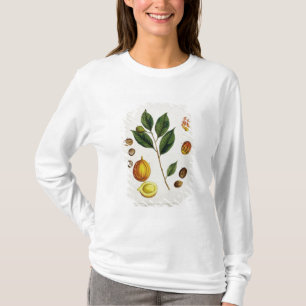 The Nutmeg, plate 353 from 'A Curious Herbal', pub T-Shirt
