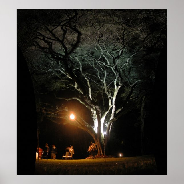 The Oak Tree Poster (Front)