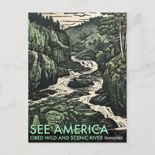 The Obed Wild and Scenic River in Tennessee Postcard