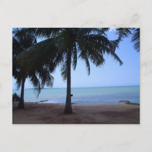 The Ocean in Morning Postcard