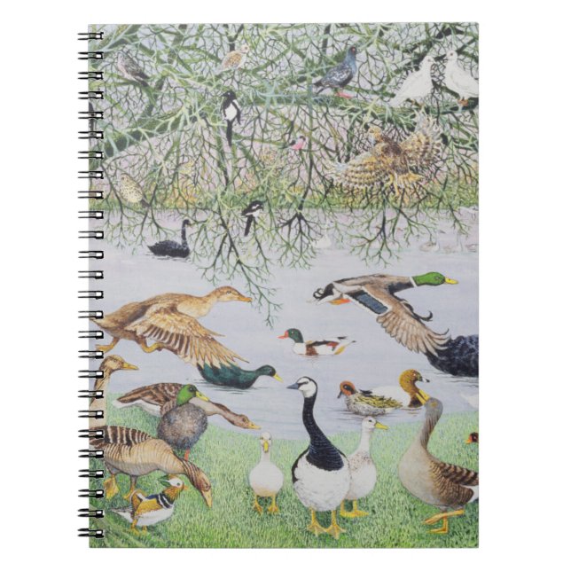 The Odd Duck Notebook (Front)