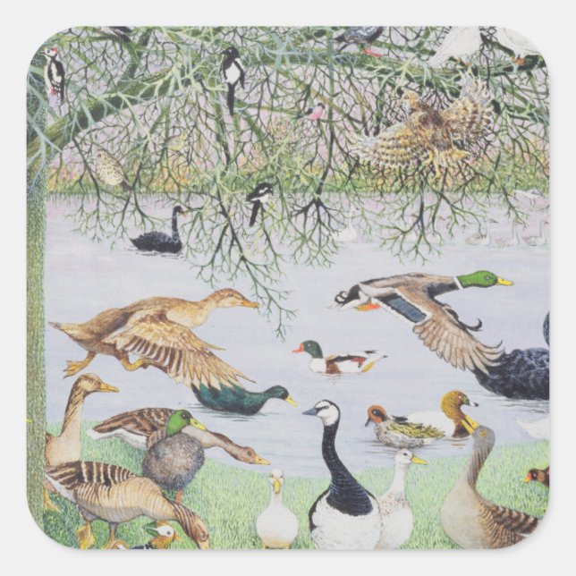 The Odd Duck Square Sticker (Front)