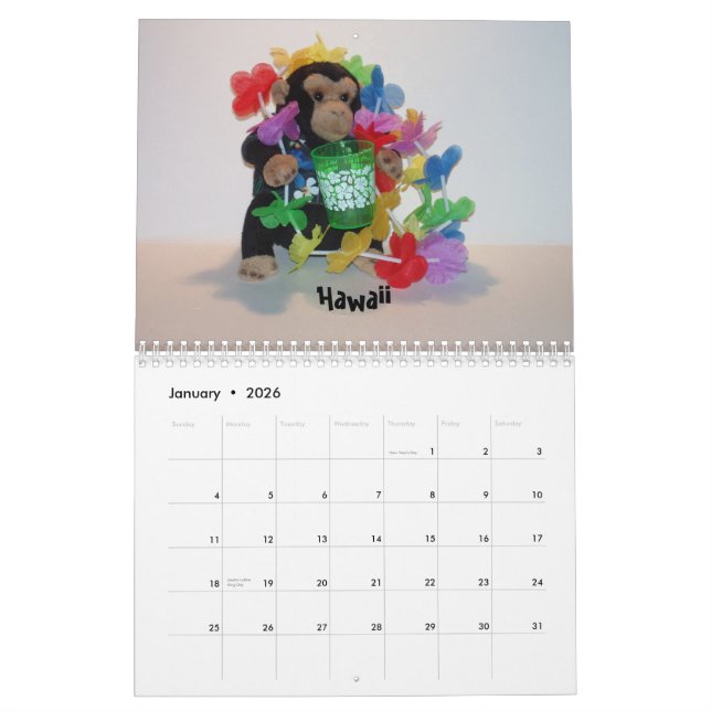 The Official Pet Monkey Calendar (Jan 2026)