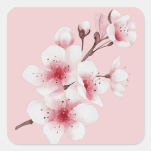 The Okinawa Series Design 30 Square Sticker