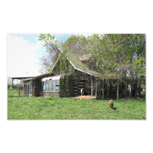 The Old Goats Home Photo Print (Front)