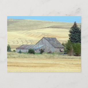 The Old Homestead Postcard