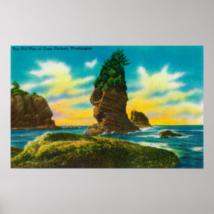 The Old Man of Cape Flattery, WA Poster